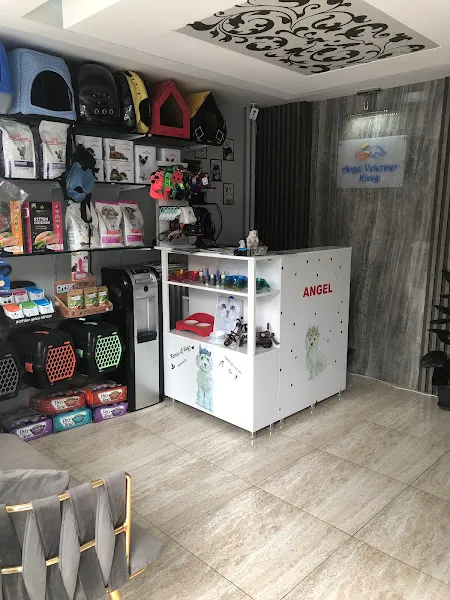 Angel Veteriner Kliniği foto 1