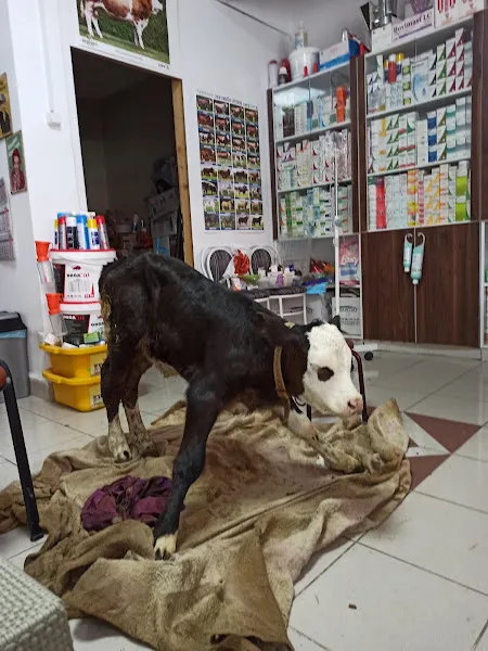 Selçuk Veteriner Kliniği foto 2