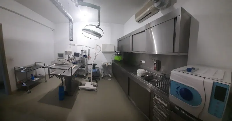 Vet clinic Charalambos Petevinos & Over the Bridge Pet Cremation services foto 1