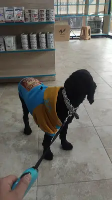 GTP Veteriner Kliniği