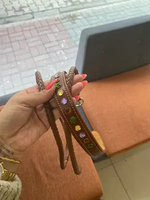 Cool Cute Petshop Ürünleri