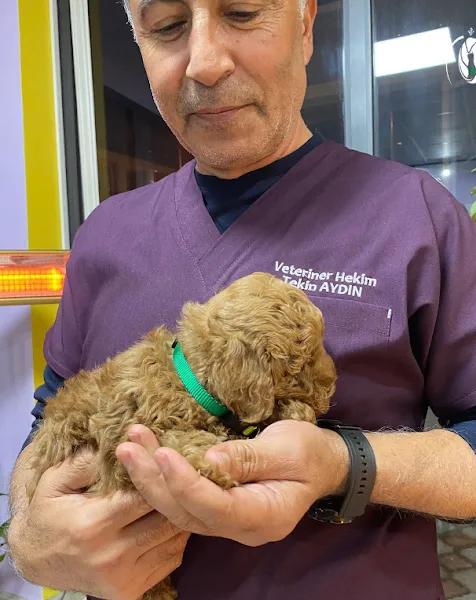 Yoda Veteriner Kliniği foto 2