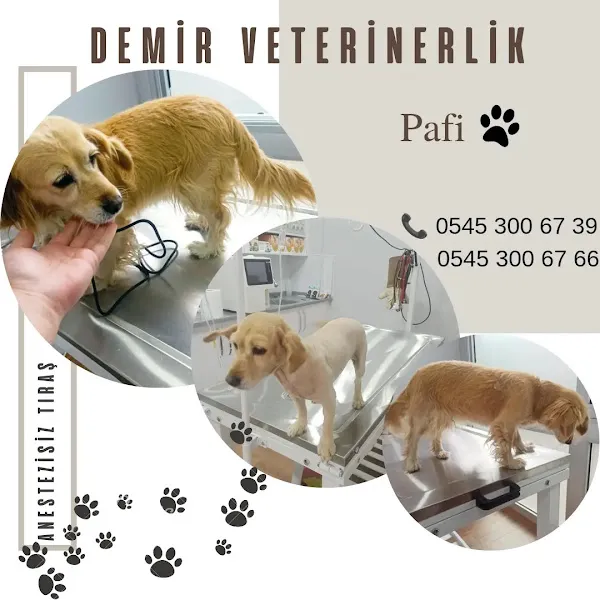 DEMİR VETERİNERLİK foto 2