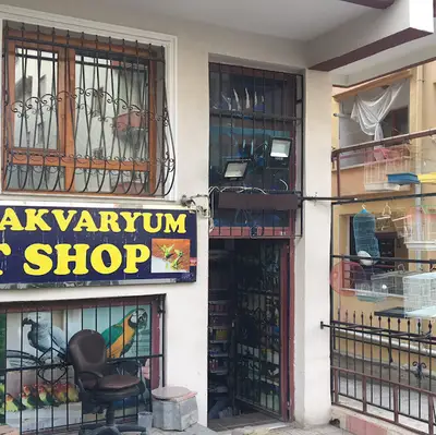 YOSUN PETSHOP