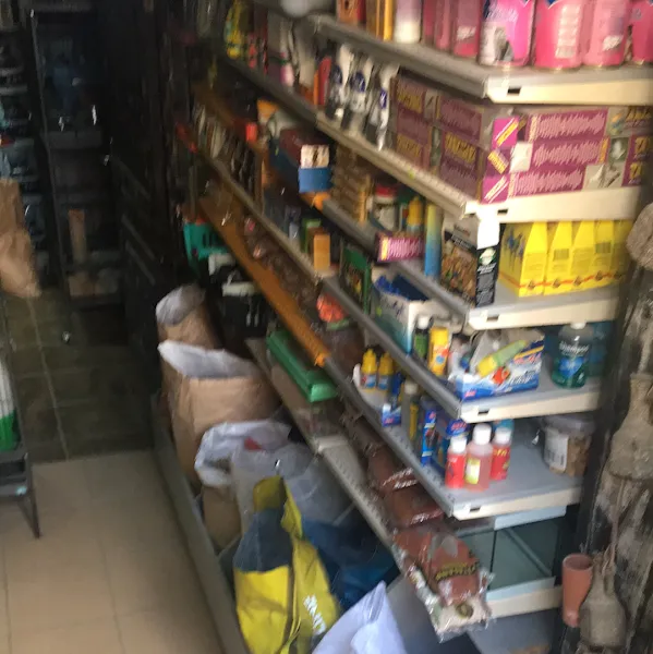 YOSUN PETSHOP foto 2