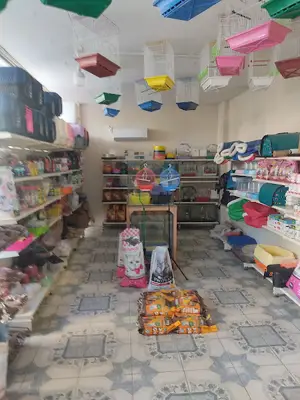 Sağlam petshop