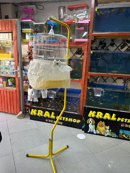 Kartal petshop foto 2