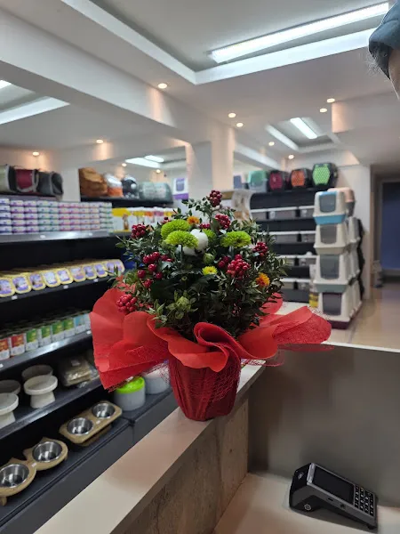 ALO PATİ PETSHOP foto 1