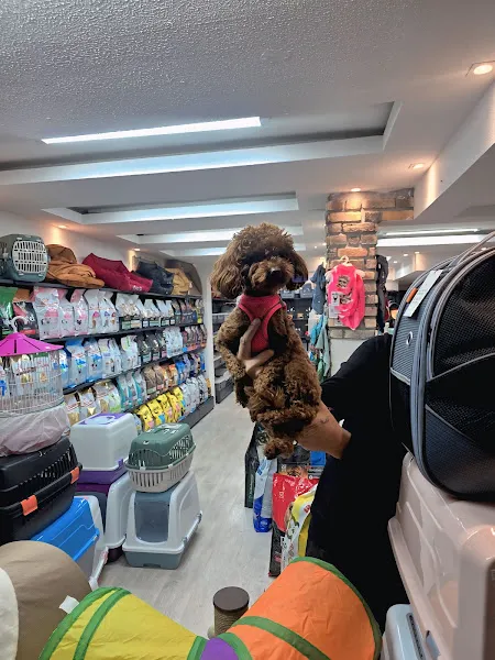 ALO PATİ PETSHOP foto 2
