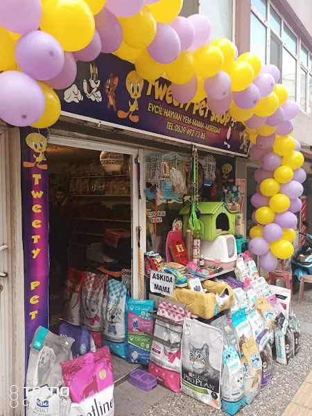 Tweety petshop foto 2