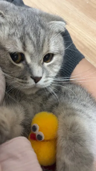 Akpınar Veteriner Kliniği foto 2