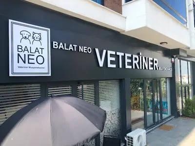 Balat Neo Veteriner Kliniği I BALAT VETERİNER I BADEMLİ VETERİNER I ACİL VETERİNER