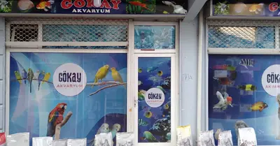 Gökay Akvaryum