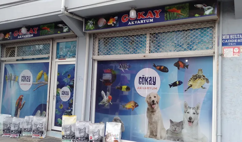 Gökay Akvaryum foto 2