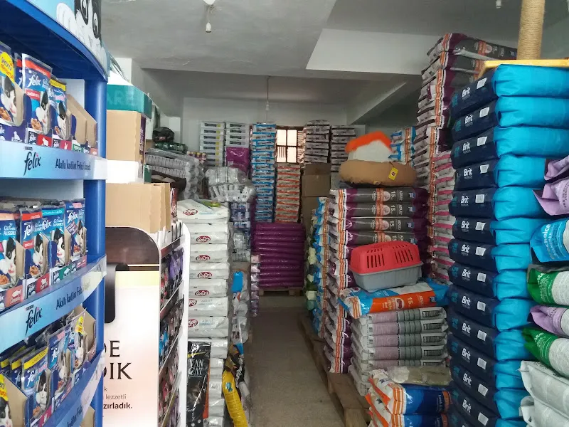 Altın Evcil Pet Ürünleri foto 2