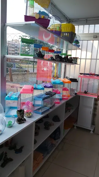Ada petshop olta balik foto 2