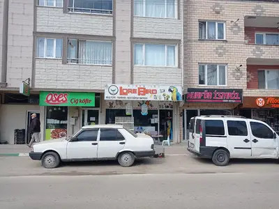 Meleğim Pet Market Lore Bird fotoğrafı