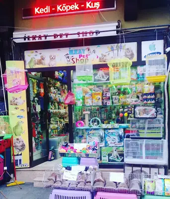 ilkay petshop-pet market fotoğrafı