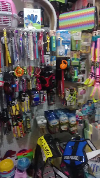 ilkay petshop-pet market foto 2
