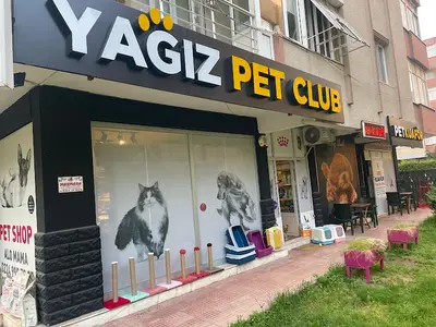 Yağız Pet Club fotoğrafı