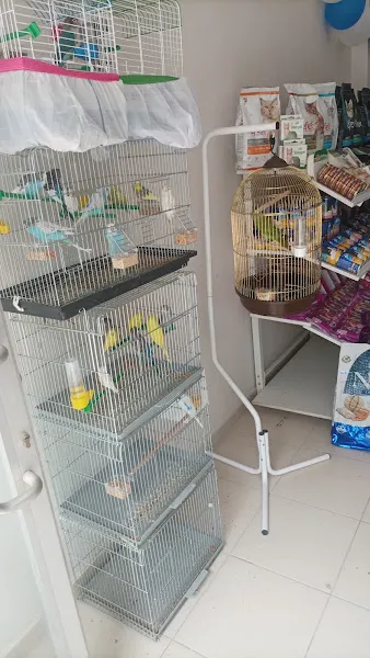 AYPATİ PETSHOP foto 2