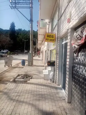 Reis Akvaryum fotoğrafı