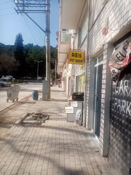 Reis Akvaryum foto 1