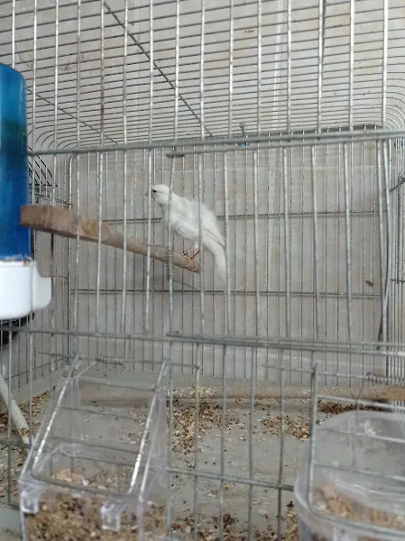 Akvaryum Arda foto 2