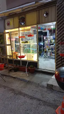 cevad akvaryum fotoğrafı