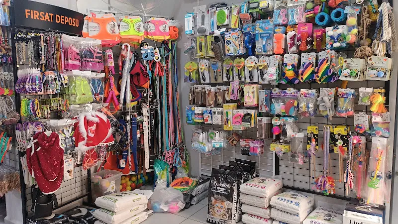 POLAT PETSHOP BURSA foto 2