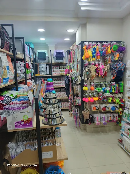 Kumsal Pet Shop foto 2