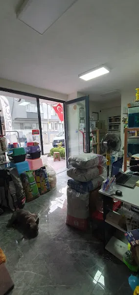 Orca Petshop foto 2