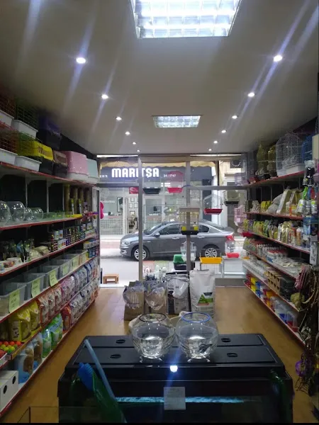 PROKİNG Petshop foto 2