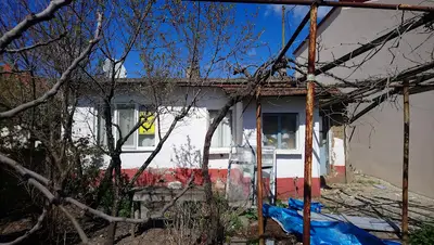 Şen kardeşler hayvancılık