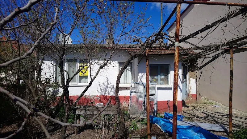 Şen kardeşler hayvancılık foto 1