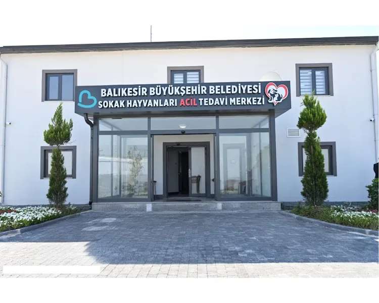Şen kardeşler hayvancılık foto 2