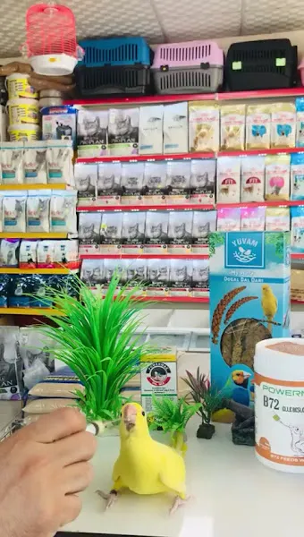 PoWeRMaX (Pet Product) foto 1