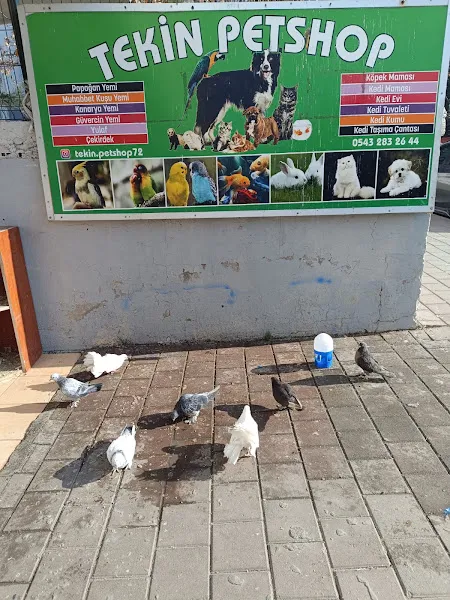 Merkez tekin petshop foto 1