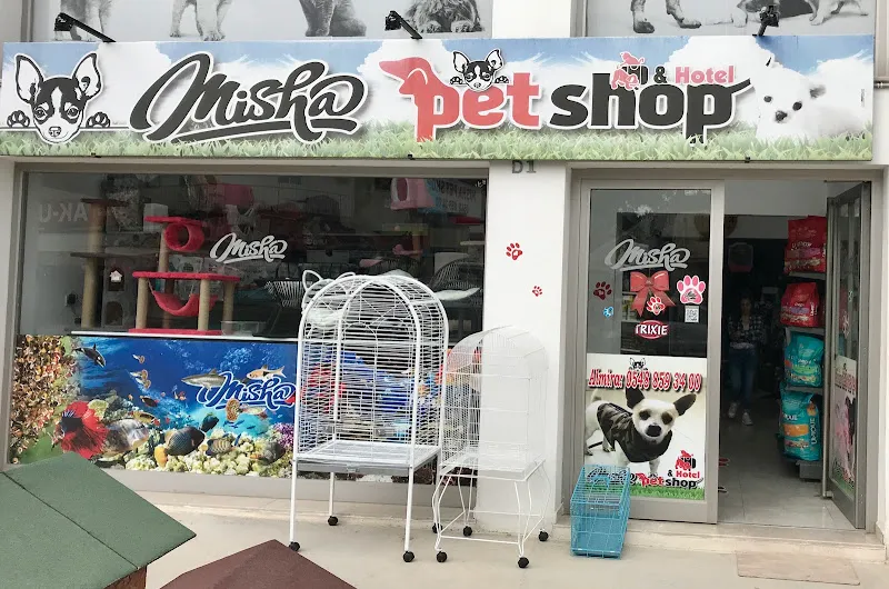 Mama Kıbrıs - Online Pet Shop - Kedi Maması - Kedi Kumu - Köpek Maması - Kuş - Kemirgen - Aksesuar foto 1