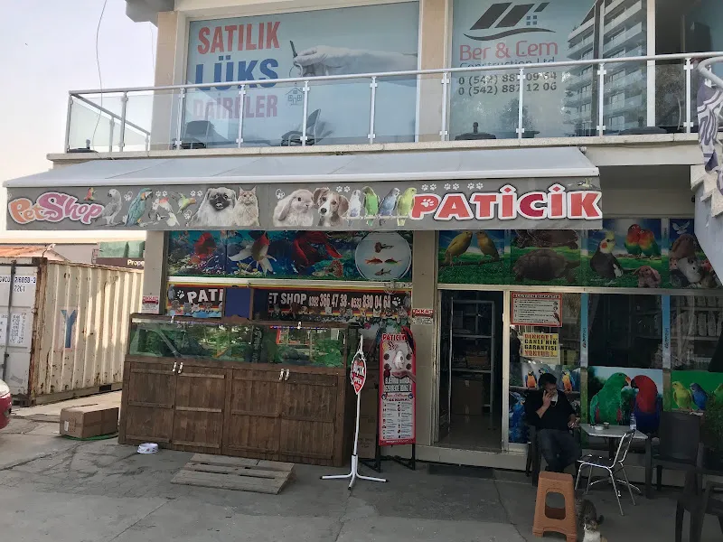 Mama Kıbrıs - Online Pet Shop - Kedi Maması - Kedi Kumu - Köpek Maması - Kuş - Kemirgen - Aksesuar foto 2