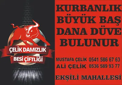 Çil Hayvancılık Besi Çiftliği fotoğrafı