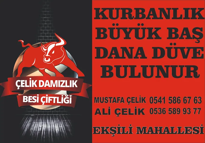 Çil Hayvancılık Besi Çiftliği foto 1