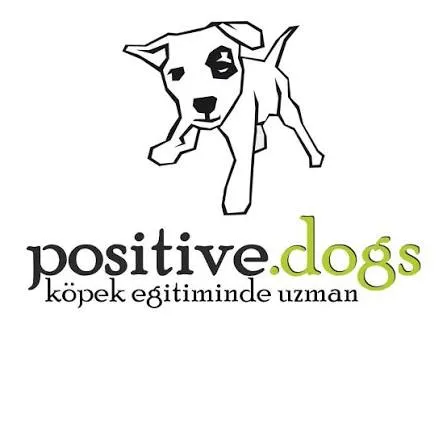 Positive Dogs - Positive Pet Eğitim ve Danışmanlık A.Ş. - Antalya foto 2