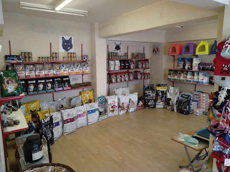 Gumball petshop foto 2