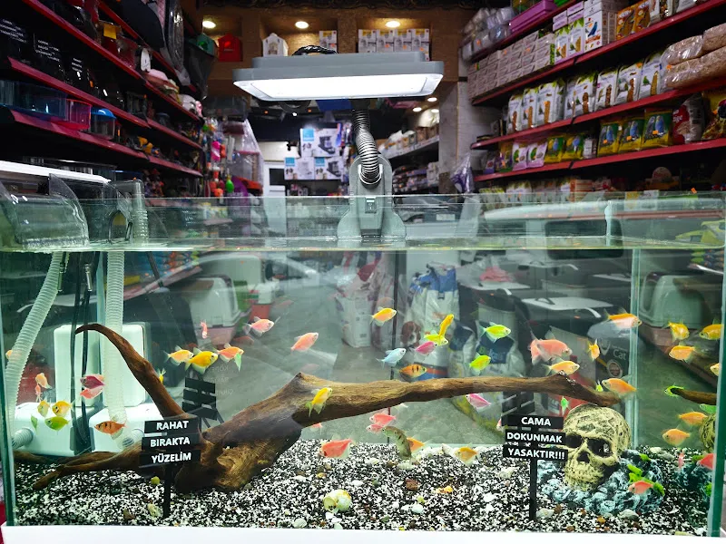 YENGEÇ PETSHOP & AKVARYUM foto 2