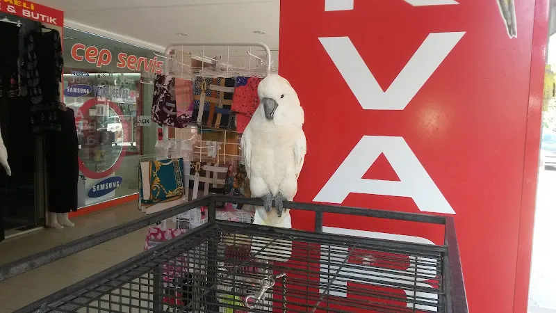Ege Akvaryum foto 1