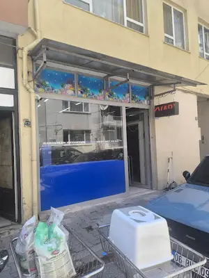 Kardeşler akvaryum petshop