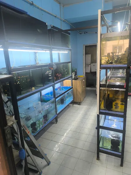 Kardeşler akvaryum petshop foto 2