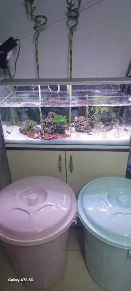Sempati petshop akvaryum foto 1
