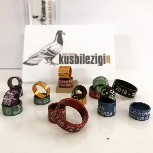 Kusbilezigi.com foto 1